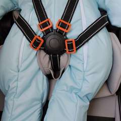 Фото отзыва 11161316