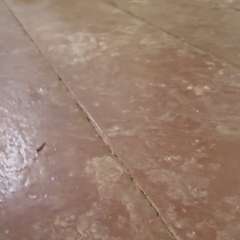 Видео отзыва 6566718