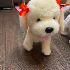 Фото отзыва 10607232