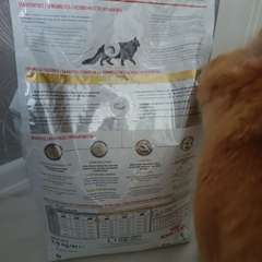 Фото отзыва 10904476