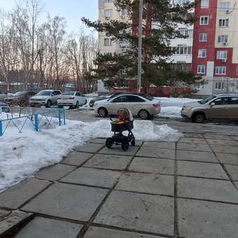 Коляска 2в1 Happy Baby Mommer Pro бежевый: отзыв пользователя Детский Мир
