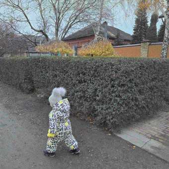 Комбинезон Baby Go Trend: отзыв пользователя Детский Мир