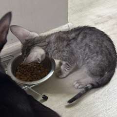 Фото отзыва 10637185