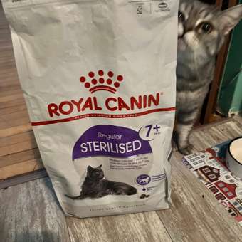 Корм сухой для кошек ROYAL CANIN Sterilised 3.5кг пожилых стерилизованных: отзыв пользователя. Зоомагазин Зоозавр