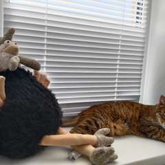 Фото отзыва 11312961