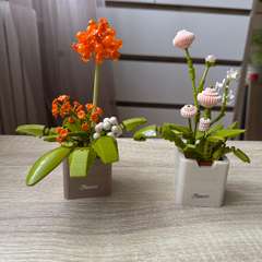 Фото отзыва 11259951