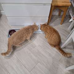 Фото отзыва 10957188