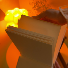 Фото отзыва 11262808