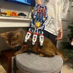 Фото отзыва 10835319