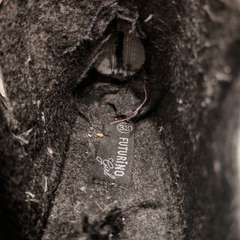 Фото отзыва 8827006