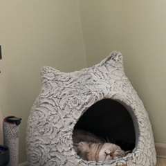 Фото отзыва 11675292