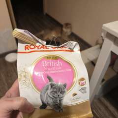 Фото отзыва 11013845