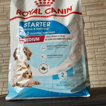 Корм для щенков беременных и кормящих Royal Canin 4кг Medium Starter средних сухой: отзыв пользователя. Зоомагазин Зоозавр