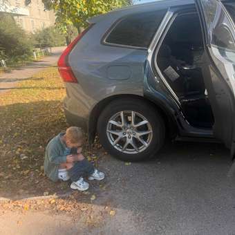 Горшок ROXY-KIDS Дорожный белый в ассортименте: отзыв пользователя Детский Мир