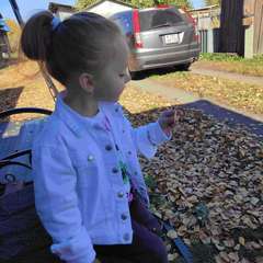 Фото отзыва 10838708