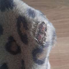 Фото отзыва 10845689