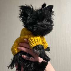 Фото отзыва 11022943