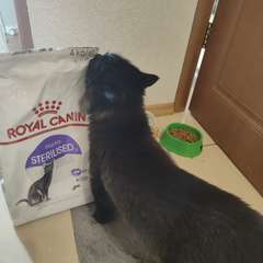 Фото отзыва 10636664