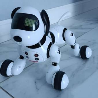 Робот РУ Mobicaro Собака Акробат: отзыв пользователя ДетМир