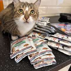 Фото отзыва 10663691