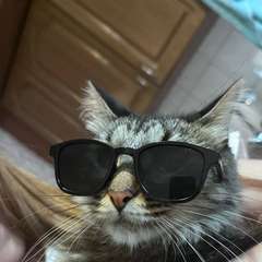 Фото отзыва 9721904