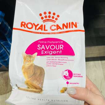 Корм сухой для кошек ROYAL CANIN Exigent Savour 400г привередливых к вкусу продукта: отзыв пользователя. Зоомагазин Зоозавр