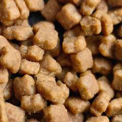 Фото отзыва 10702143