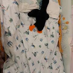 Фото отзыва 11047667