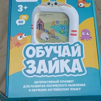 Игрушка alilo планшет Обучай-Зайка: отзыв пользователя Детский Мир