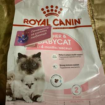 Корм для котят Royal Canin Mother and Babycat 400г: отзыв пользователя. Зоомагазин Зоозавр