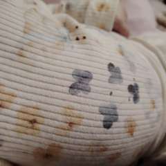 Фото отзыва 10633375