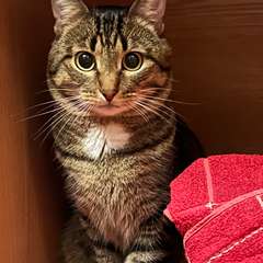 Фото отзыва 11015866