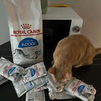 Корм сухой для кошек ROYAL CANIN Indoor 27 2кг живущих в помещении: отзыв пользователя. Зоомагазин Зоозавр