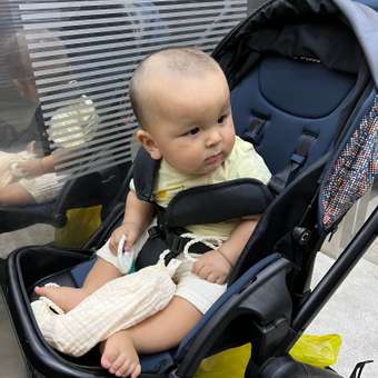 Коляска прогулочная Olsson Jazz Blue голубой: отзыв пользователя Детский Мир