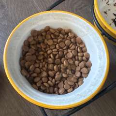 Фото отзыва 9912290