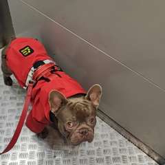 Фото отзыва 10431568