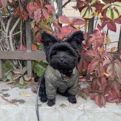 Фото отзыва 10572975