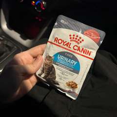 Фото отзыва 10747823