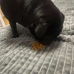 Фото отзыва 10530488