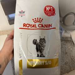 Фото отзыва 10932764