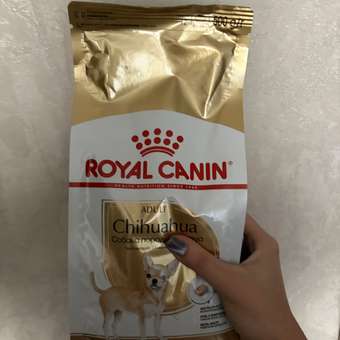 Корм для собак ROYAL CANIN породы чихуахуа 500г: отзыв пользователя. Зоомагазин Зоозавр