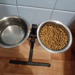 Фото отзыва 11183962