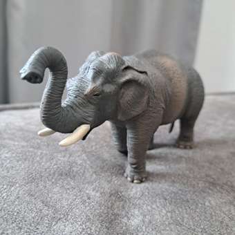 Фигурка Collecta Азиатский слон: отзыв пользователя Детский Мир