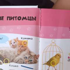 Фото отзыва 11084041