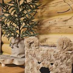 Фото отзыва 10777611