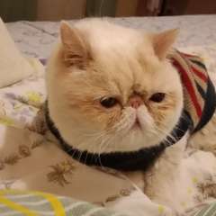 Фото отзыва 10979879