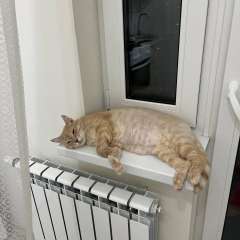 Фото отзыва 10738650