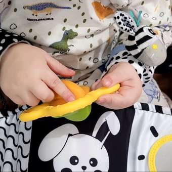 Игрушка TrendToys книжка с погремушкой: отзыв пользователя Детский Мир