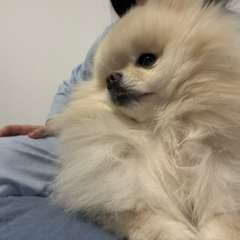 Фото отзыва 10696844