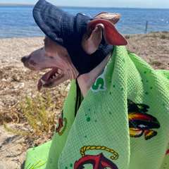 Фото отзыва 9895422